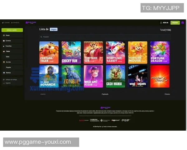 pg电子稳赚网站怎么样-关于PG电子稳赚网站的全面解析-pg电子稳赚网站怎么样